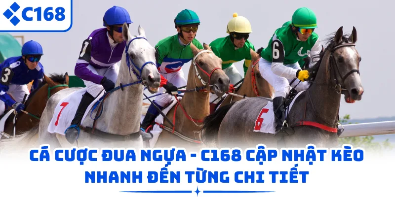 Cá Cược Đua Ngựa