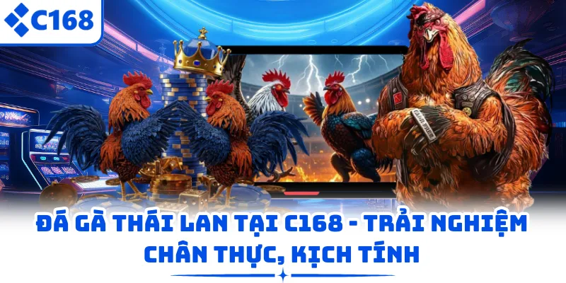 Đá Gà Thái Lan